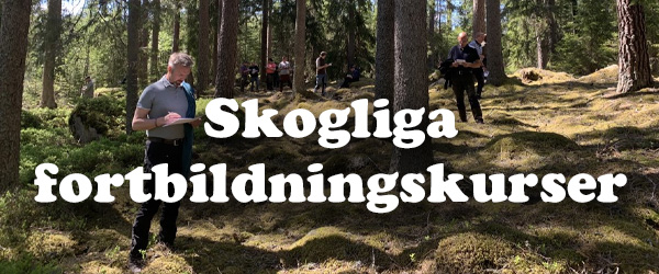 fortbildningskurser.jpg