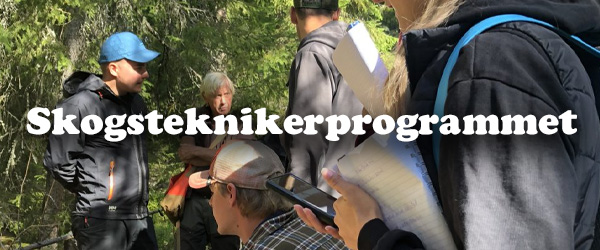 skogstekniker.jpg