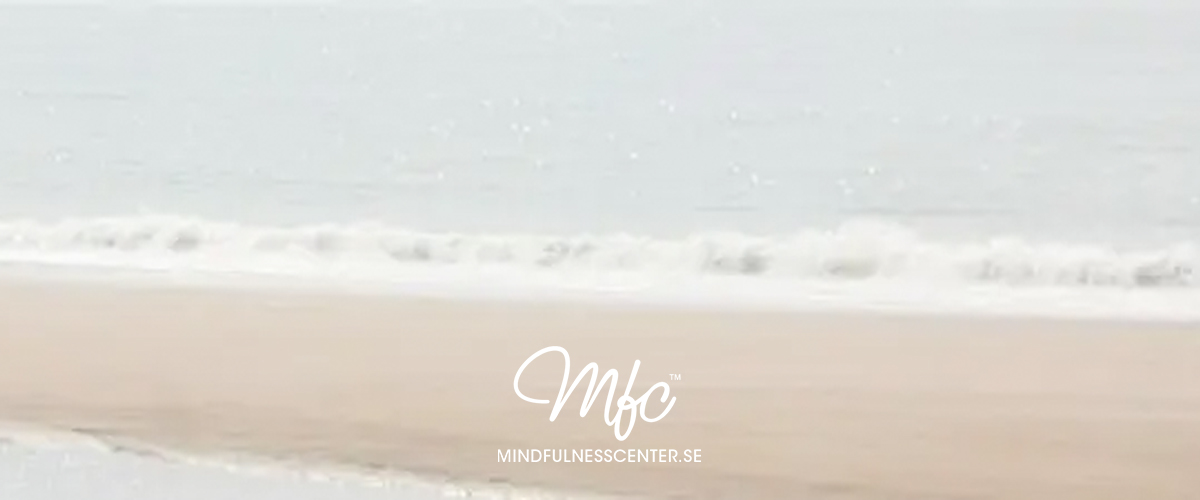 mindfulnes_2026.jpg
